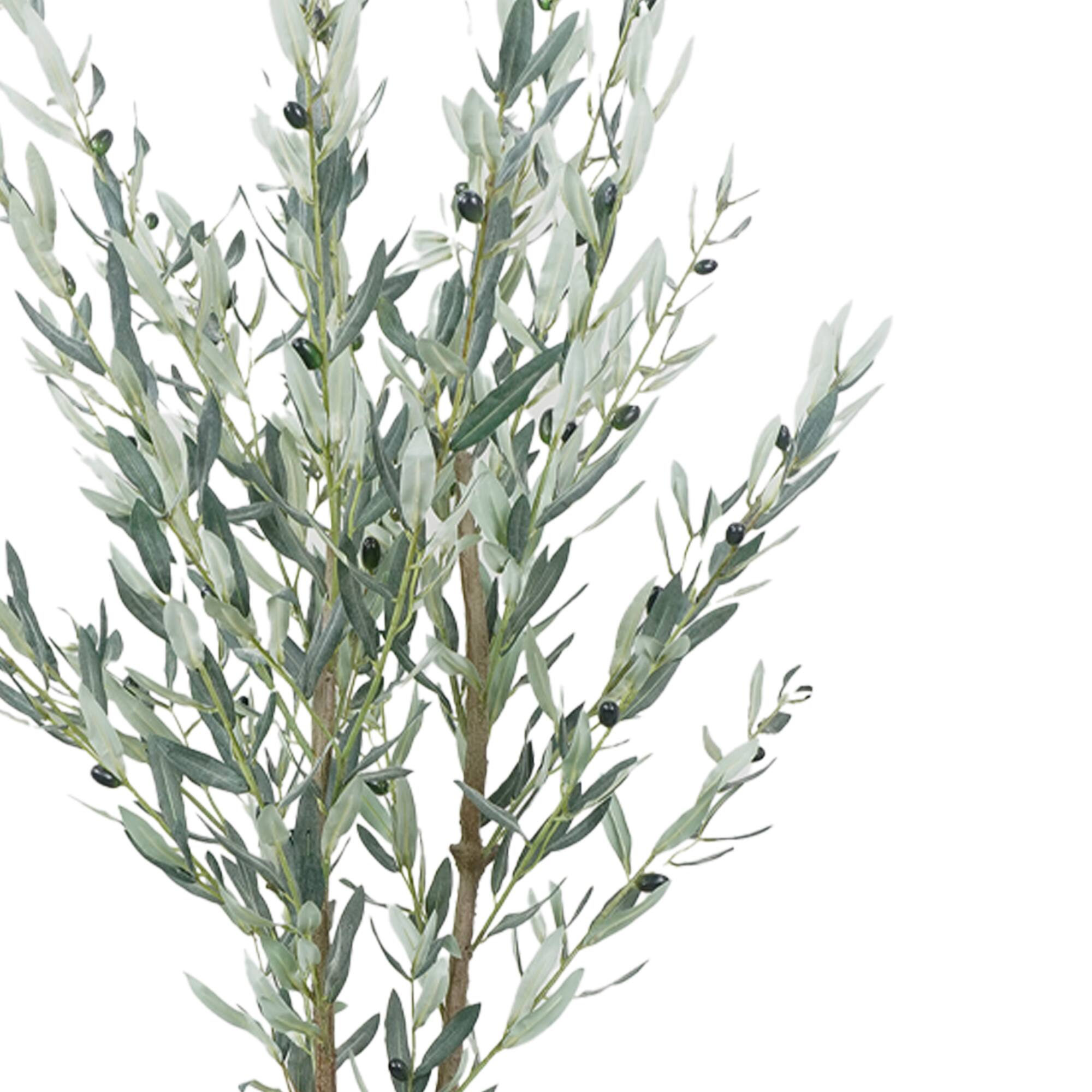 5.5ft. Potted Green Olive Tree by Ashland®